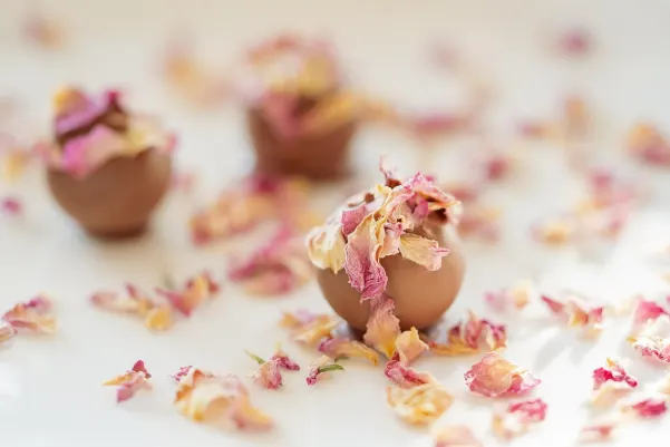 Kasino Haiti Win Android/iOS aplikace